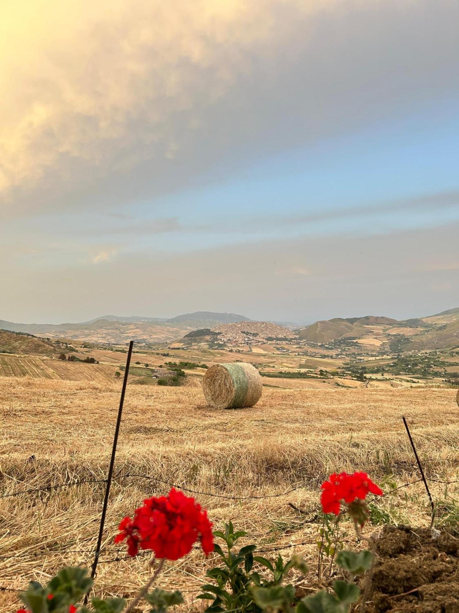 Casa Vacanze Villa Mariano กานจิ ภายนอก รูปภาพ
